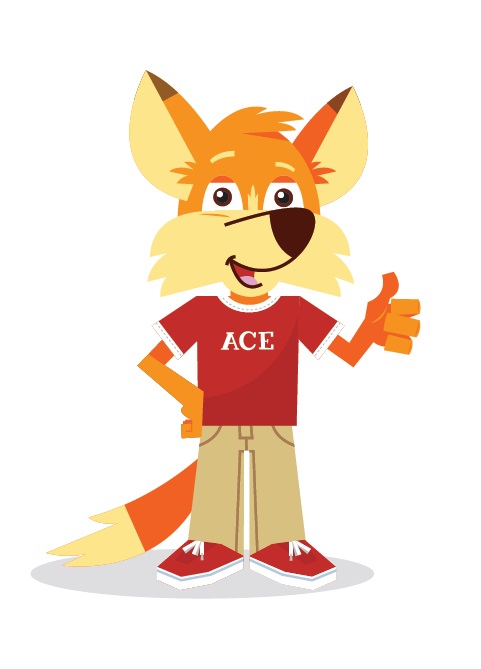 Ace the Fox 